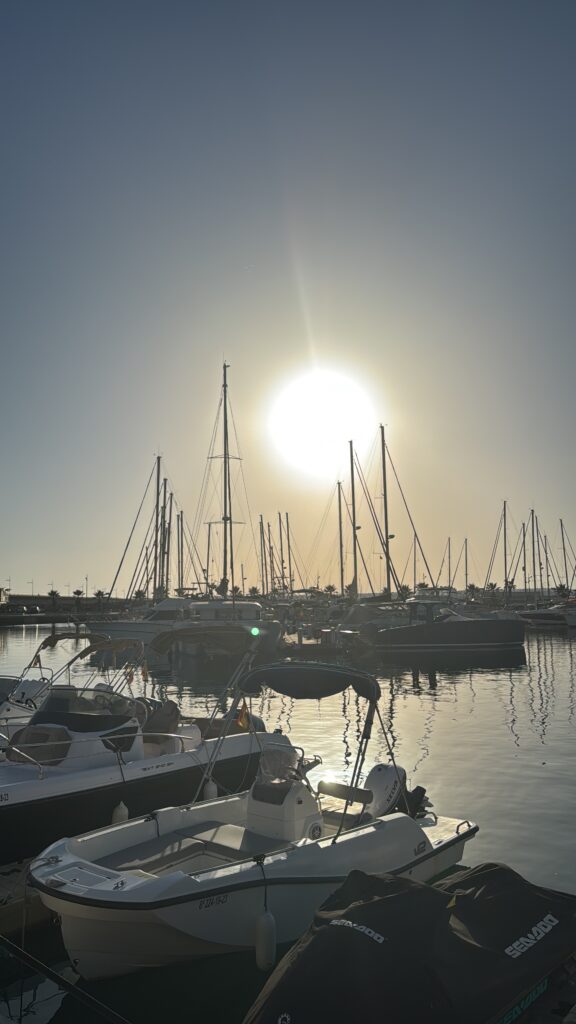 F2B6C8AA-74F6-4B17-931D-061E682E5BE7